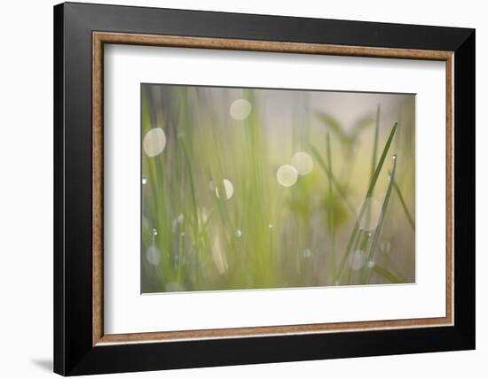 Morning Light No. 2-Ulpi Gonzalez-Framed Photographic Print