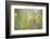 Morning Light No. 2-Ulpi Gonzalez-Framed Photographic Print