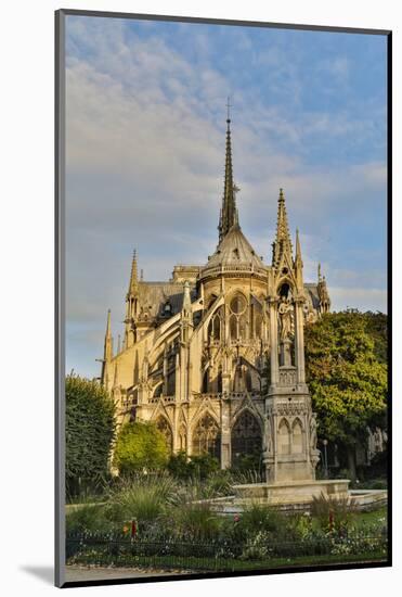 Morning light on Cathedral Notre Dame and the Seine River, Paris, France.-Darrell Gulin-Mounted Photographic Print