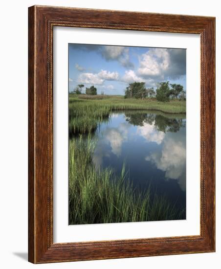 Morning Light on Chimney Creek Pond, Savannah, Georgia, USA-Joanne Wells-Framed Photographic Print