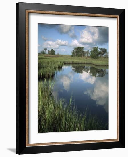 Morning Light on Chimney Creek Pond, Savannah, Georgia, USA-Joanne Wells-Framed Photographic Print