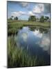 Morning Light on Chimney Creek Pond, Savannah, Georgia, USA-Joanne Wells-Mounted Photographic Print