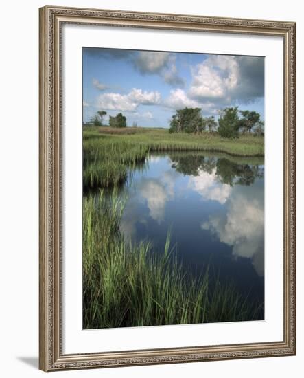 Morning Light on Chimney Creek Pond, Savannah, Georgia, USA-Joanne Wells-Framed Photographic Print