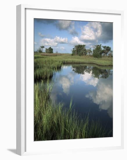 Morning Light on Chimney Creek Pond, Savannah, Georgia, USA-Joanne Wells-Framed Photographic Print