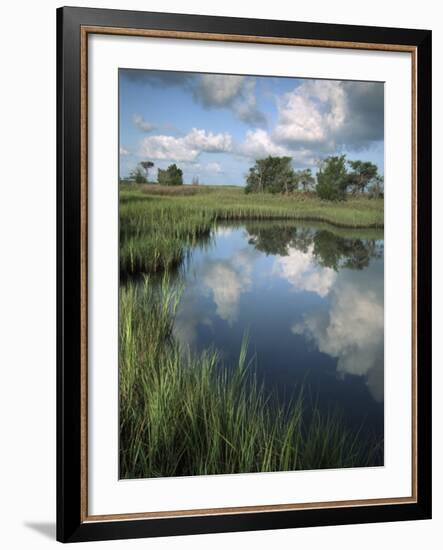 Morning Light on Chimney Creek Pond, Savannah, Georgia, USA-Joanne Wells-Framed Photographic Print