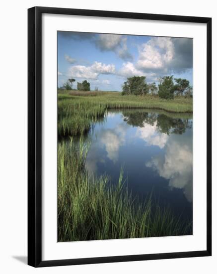 Morning Light on Chimney Creek Pond, Savannah, Georgia, USA-Joanne Wells-Framed Photographic Print