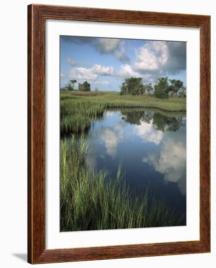 Morning Light on Chimney Creek Pond, Savannah, Georgia, USA-Joanne Wells-Framed Photographic Print