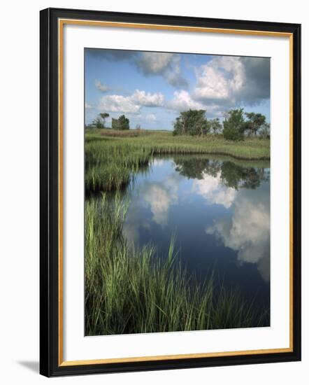 Morning Light on Chimney Creek Pond, Savannah, Georgia, USA-Joanne Wells-Framed Photographic Print