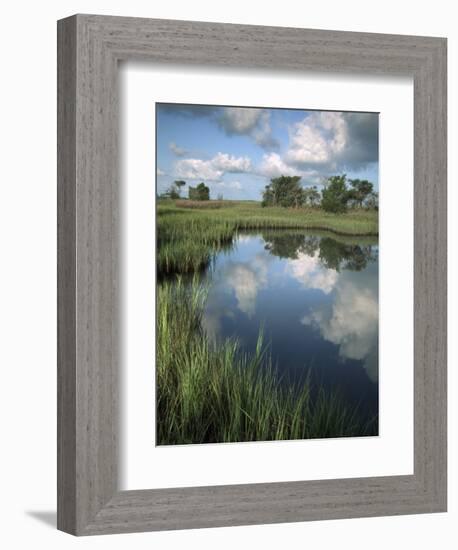 Morning Light on Chimney Creek Pond, Savannah, Georgia, USA-Joanne Wells-Framed Photographic Print