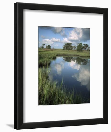 Morning Light on Chimney Creek Pond, Savannah, Georgia, USA-Joanne Wells-Framed Photographic Print