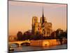 Morning Light on Notre Dame, Paris, France-Walter Bibikow-Mounted Photographic Print