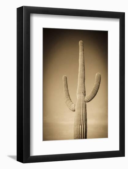 Morning Light on Saguaro Cactus under Gates Pass, Tucson Mountain Park, Arizona, Usa-Russ Bishop-Framed Photographic Print