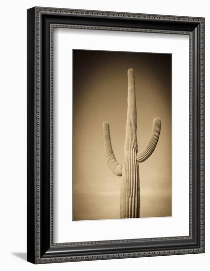 Morning Light on Saguaro Cactus under Gates Pass, Tucson Mountain Park, Arizona, Usa-Russ Bishop-Framed Photographic Print
