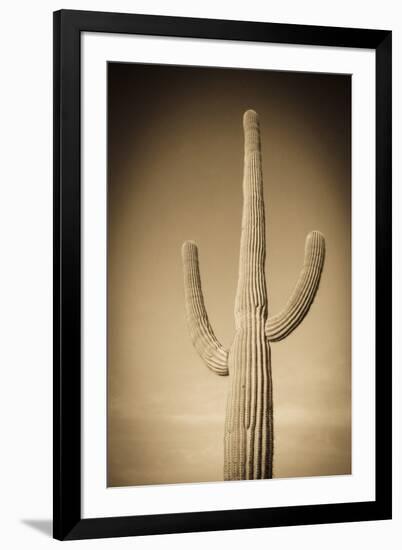 Morning Light on Saguaro Cactus under Gates Pass, Tucson Mountain Park, Arizona, Usa-Russ Bishop-Framed Photographic Print