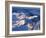 Morning Light on the Chigmit Mountains, a Subrange of the Aleutians.-Ian Shive-Framed Photographic Print