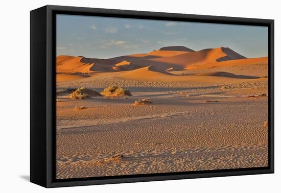 Morning light on the sand dunes of Sossusvlei, Namibia-Darrell Gulin-Framed Premier Image Canvas