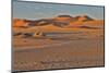 Morning light on the sand dunes of Sossusvlei, Namibia-Darrell Gulin-Mounted Photographic Print