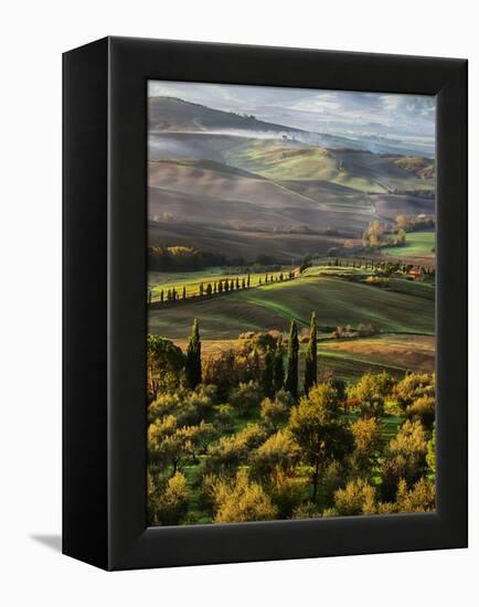 Morning Light over the Fields of Winter Wheat above the Tuscan Landscape-Terry Eggers-Framed Premier Image Canvas