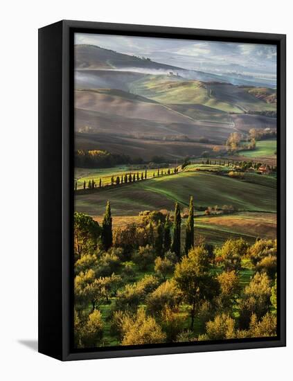 Morning Light over the Fields of Winter Wheat above the Tuscan Landscape-Terry Eggers-Framed Premier Image Canvas