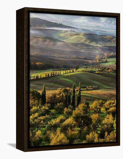 Morning Light over the Fields of Winter Wheat above the Tuscan Landscape-Terry Eggers-Framed Premier Image Canvas