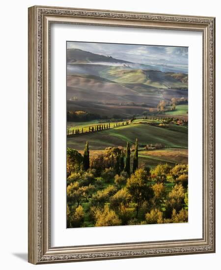 Morning Light over the Fields of Winter Wheat above the Tuscan Landscape-Terry Eggers-Framed Photographic Print