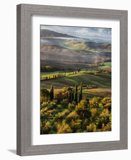 Morning Light over the Fields of Winter Wheat above the Tuscan Landscape-Terry Eggers-Framed Photographic Print