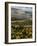 Morning Light over the Fields of Winter Wheat above the Tuscan Landscape-Terry Eggers-Framed Photographic Print