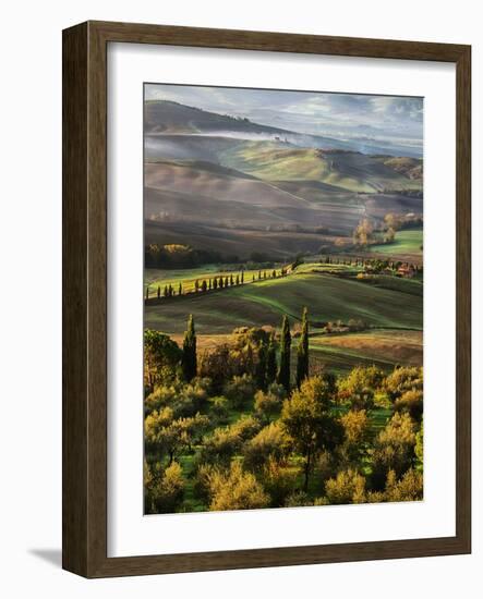 Morning Light over the Fields of Winter Wheat above the Tuscan Landscape-Terry Eggers-Framed Photographic Print