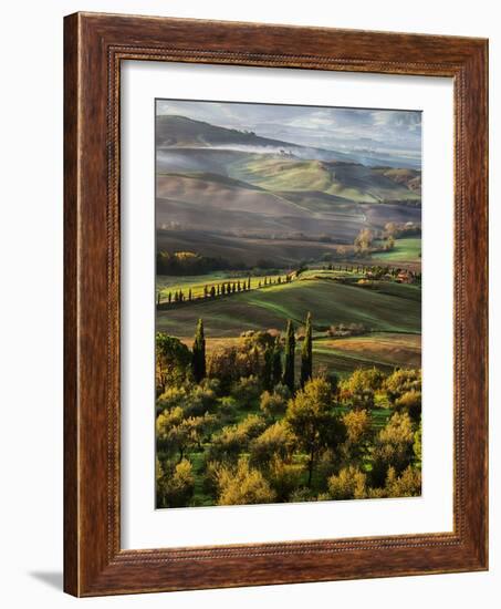 Morning Light over the Fields of Winter Wheat above the Tuscan Landscape-Terry Eggers-Framed Photographic Print