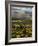 Morning Light over the Fields of Winter Wheat above the Tuscan Landscape-Terry Eggers-Framed Photographic Print