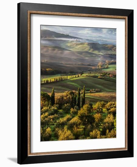 Morning Light over the Fields of Winter Wheat above the Tuscan Landscape-Terry Eggers-Framed Photographic Print