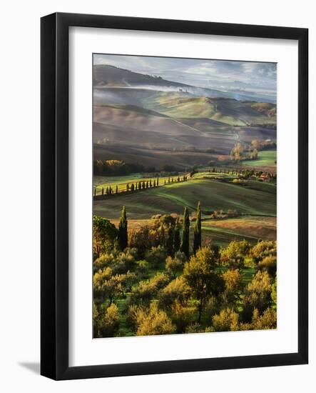 Morning Light over the Fields of Winter Wheat above the Tuscan Landscape-Terry Eggers-Framed Photographic Print