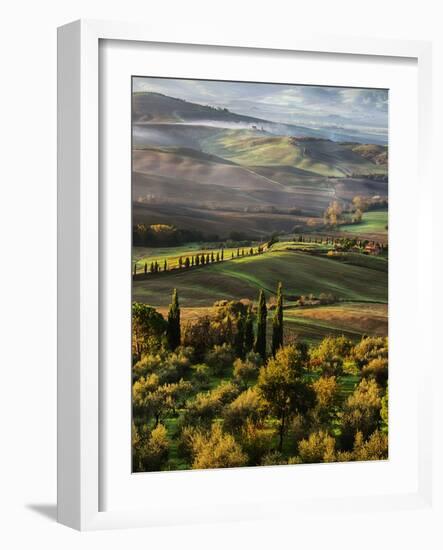 Morning Light over the Fields of Winter Wheat above the Tuscan Landscape-Terry Eggers-Framed Photographic Print