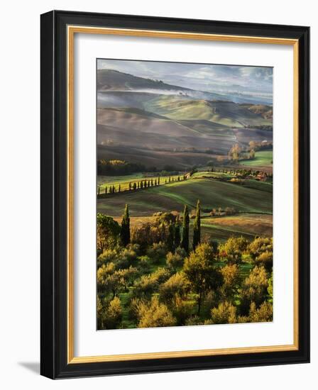 Morning Light over the Fields of Winter Wheat above the Tuscan Landscape-Terry Eggers-Framed Photographic Print