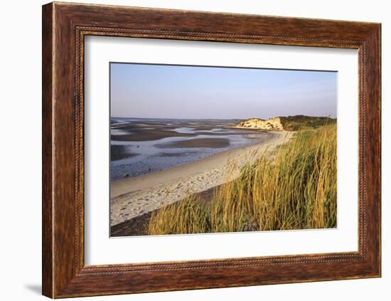 Morning light, Sylt, Schleswig-Holstein, Germany-null-Framed Art Print