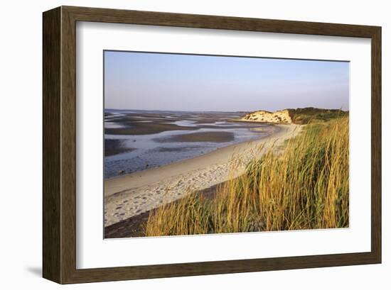 Morning light, Sylt, Schleswig-Holstein, Germany-null-Framed Art Print