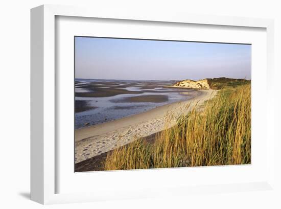 Morning light, Sylt, Schleswig-Holstein, Germany-null-Framed Art Print