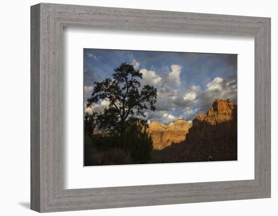 Morning light, Zion National Park-Ken Archer-Framed Photographic Print