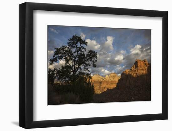 Morning light, Zion National Park-Ken Archer-Framed Photographic Print