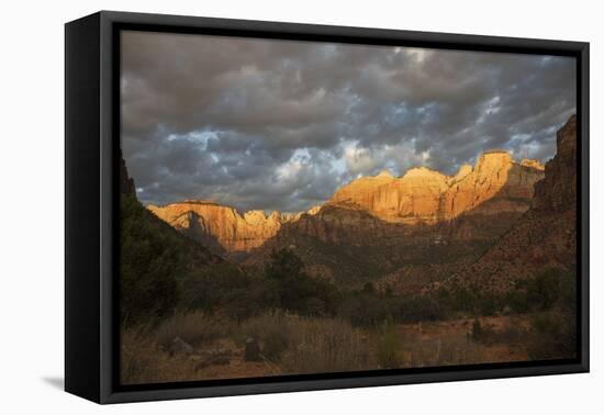 Morning light, Zion National Park-Ken Archer-Framed Premier Image Canvas