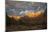 Morning light, Zion National Park-Ken Archer-Mounted Photographic Print