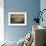 Morning Light-Ursula Salemink-Roos-Framed Giclee Print displayed on a wall