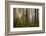 Morning Light-David Winston-Framed Giclee Print