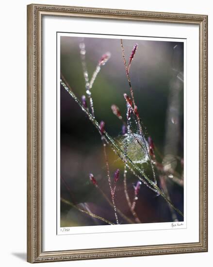 Morning Light-Michelle Wermuth-Framed Giclee Print