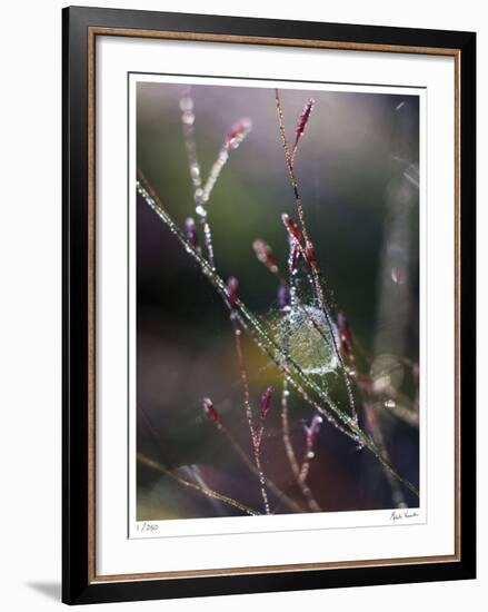 Morning Light-Michelle Wermuth-Framed Giclee Print