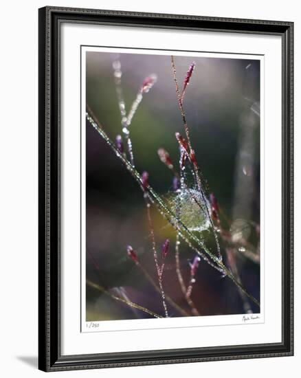 Morning Light-Michelle Wermuth-Framed Giclee Print