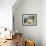 Morning Light-Allayn Stevens-Framed Art Print displayed on a wall