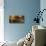 Morning Light-Piotr Krol (Bax)-Mounted Photographic Print displayed on a wall