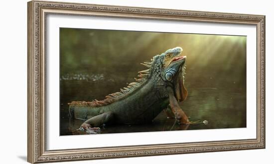 Morning Light-Fahmi Bhs-Framed Photographic Print