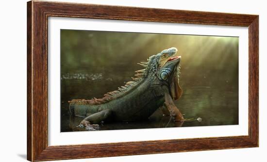 Morning Light-Fahmi Bhs-Framed Photographic Print